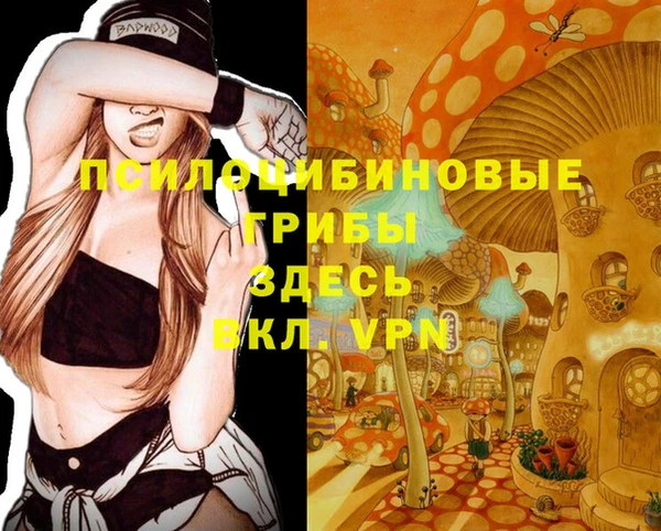 прущие крисы Баксан