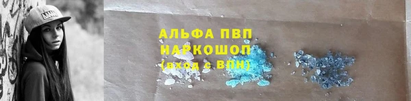 прущие крисы Баксан