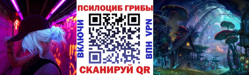 Галлюциногенные грибы прущие грибы  Гатчина 